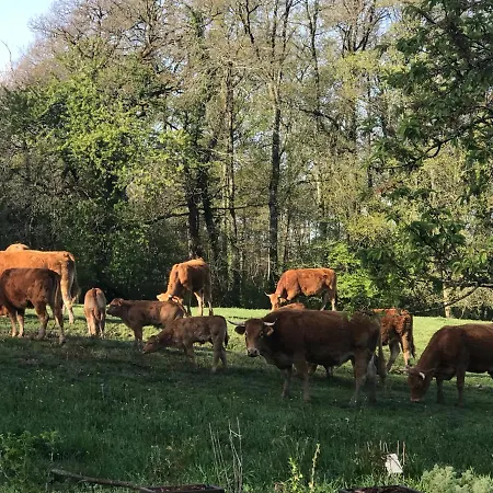 住宿加早餐酒店 Les Ombrieres Porcheresse