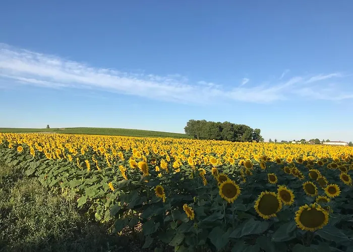 Les Ombrieres Bed and breakfast Porcheresse