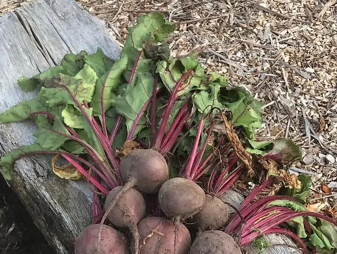 Bed and breakfast Les Ombrieres Porcheresse