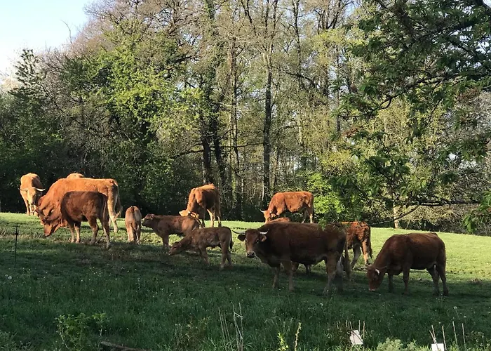 Bed and breakfast Les Ombrieres Porcheresse